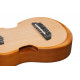 IBANEZ AUP10N OPN