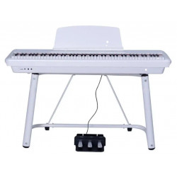 PEARL RIVER P60 U stand WH