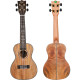 FLIGHT DUC450 MAN/MAN Concert