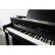 CASIO AP-750BK