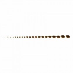 GEWA Alto Saxophone Pads Complete Sets (730.762)