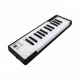 ARTURIA MICROLAB (BLACK)