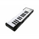ARTURIA MICROLAB (BLACK)