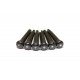 GRAPH TECH PP-2182-00 TUSQ Bridge Pins Martin Style 2mm Black / Paua Dot (6 Pcs)