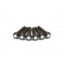 GRAPH TECH PP-2044-00 TUSQ Bridge Pins 4mm Black / Mother-of-Pearl (6 Pcs)