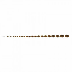 GEWA Tenor Saxophone Pads Complete Sets (730.764)