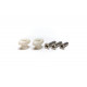 GRAPH TECH PQL-7004-00 TUSQ XL Sleek String Trees With Chrome Screws