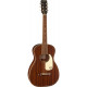 GRETSCH JIM DANDY PARLOR FRONTIER STAIN