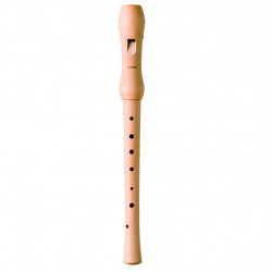 Hohner B9560