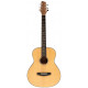STAGG SA25 A SPRUCE