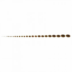 GEWA Soprano Saxophone Pads Complete Sets (730.760)