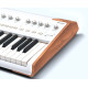 ARTURIA ASTROLAB