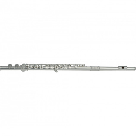 SML VSM FL300R