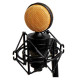 Alpha Audio MIC Studio L