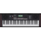 ROLAND E-X10