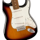 FENDER PLAYER ANNIVERSARY STRATOCASTER 2-COLOR SUNBURST