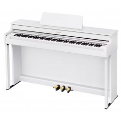 CASIO Celviano AP-300WE