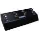 Laney FS4