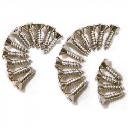 Dimarzio GH1000C Pickguard/Backplate Screws - Set Of 24 (Chrome)