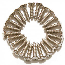 Dimarzio FH1000C Pickguard/Backplate Screws - Set Of 24 (Chrome)