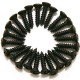 Dimarzio FH1000BK Pickguard/Backplate Screws - Set Of 24 (Black)