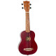 Flight NUS-380 Coral Soprano