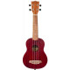 Flight NUS-380 Coral Soprano