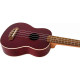Flight NUS-380 Coral Soprano