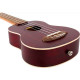 Flight NUS-380 Coral Soprano