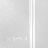 PIRASTRO PERPETUAL CADANZA 4 41A011