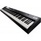 ROLAND RD-88EX