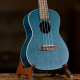 Ortega Earth RUOCEAN Concert Ukulele (Okoume Ocean Blue)