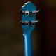 Ortega Earth RUOCEAN Concert Ukulele (Okoume Ocean Blue)