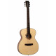TANGLEWOOD TS3