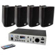 4ALL AUDIO SET 4XWALL 420 BLACK 1XPAMP-100-2Z