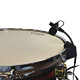 Prodipe DL21