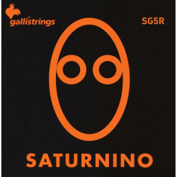 GALLISTRINGS SG5RN 5 STRINGS MEDIUM