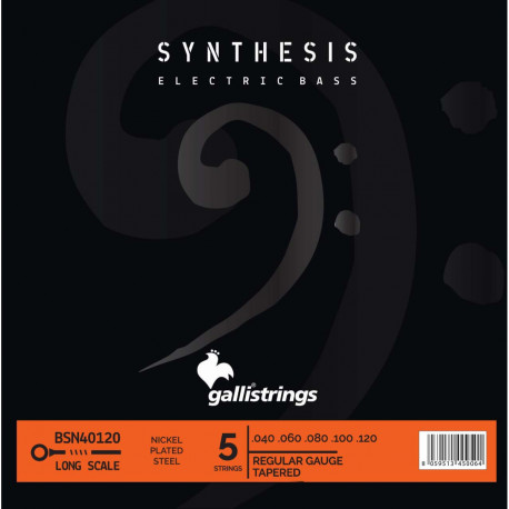 GALLISTRINGS BSN40120 5 STRINGS REGULAR - TAPERED