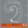 GALLISTRINGS BSN750 CHROME FLAT W. - 5 STR. MEDIUM