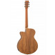 TANGLEWOOD TRU4 CE AK