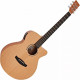 TANGLEWOOD TR4 CE