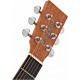 TANGLEWOOD TR4 CE