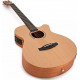 TANGLEWOOD TR4 CE