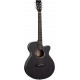 TANGLEWOOD TWBB SF CE