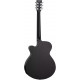 TANGLEWOOD TWBB SF CE