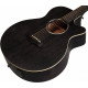 TANGLEWOOD TWBB SF CE