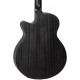 TANGLEWOOD TWBB SF CE