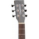 TANGLEWOOD TWBB SF CE