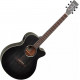 TANGLEWOOD TWBB SF CE