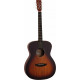TANGLEWOOD TC3